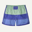 The Patagonia Toddlers' Boardshorts in Rinsed Green