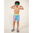 The Chubbies Toddler Magic Print Classic Swim Trunk in the Pink and Blue Lil Dino Print