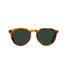 The Raen Remmy Sunglasses in the Split Moab Tortoise and Green Polarized Colorway