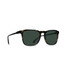 The Raen Wiley Sunglasses in the Brindle Tortoise and Green Polarized Colorway