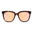 Blenders Wild Kira Sunglasses  in Black/ Tortoise/ Champagne colorway