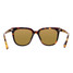 Blenders Wild Kira Sunglasses  in Black/ Tortoise/ Champagne colorway