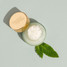 Hoodies and Sweatshirts Lip Scrub - Sweet Mint