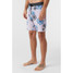 The O'Neill Men's OG Print 19 inch Boardshorts in the Iris Colorway
