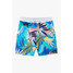 The O'Neill Boys' Hermosa Crew 16" Volley Boardshorts in Multi colorway