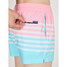 The Chubbies Men's 4 inch Lined Classic Swim Trunks in Blue, Pink and White Stripes