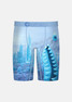 Ethika Boys' Staple Boxer Briefs in the Bomber City of Stillness Pattern
