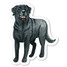 Black Labrador Sticker