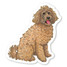 Goldendoodle Sticker Goldendoodle Sticker