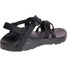 The Chaco Men's Z/2 Classic Sandals in Black