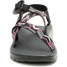 The Chaco Women's Z/1 Classic Sandals in Paddle Pink