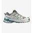 The Salomon Women's XA Pro 3D V9 Trail Running Shoes in the Gull Colorway The Salomon Women's XA Pro 3D V9 Trail Running Shoes in the Gull Colorway