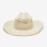 Wyeth Diego Straw Cowboy Hat in Ivory colorway