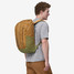 Patagonia Black Hole 25L Backpack in Pufferfish Gold colorway