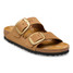 The Birkenstock Women's Arizona Big Buckle Sandal in Mink Nubuck