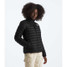 The North Face Women's Terra Peak Jacket in Black back view