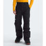 The North face Menâs Freedom Insulated Pants in Black The North face Menâs Freedom Insulated Pants in Black