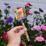 Modern Sprout Song Bird Seed Pop Modern Sprout Song Bird Seed Pop detail view