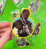 Snoop Dog Fo' Shizzle Air Freshener front view