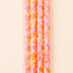 The Darling Effect Tumbler Straw Set in Secret Garden Pink full view