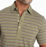 Criquet Men's Top-Shelf Players Polo in Newman Stripe/Olive