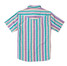 Sendero Provisions Co. Men's Wyatt Pearl Snap Shirt in Spring Sage front view