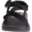The Chaco Men's Z/1 Classic Sandals in Black