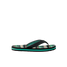The Reef Kids' Ahi Flip Flops in the Blanket/Stripe colorway