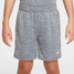 The Nike Kids' Dri-FIT Multi Shorts in Smoke Grey/Photon Dust