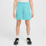 Nike Kids' Dri-FIT Multi Shorts Teal front view