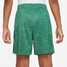 The Nike Kids' Dri-FIT Multi Shorts in Malachite