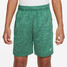 The Nike Kids' Dri-FIT Multi Shorts in Malachite
