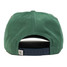The Texas Hill Country Provisions Legalize Bluebonnet  Picking  Snapback in Green