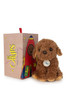 Bon Ton Toys Stacy The Labradoodle Plush Box Bon Ton Toys Stacy The Labradoodle Plush Box