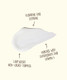 Sun Bum After Sun Cool Down Lotion product bottle