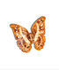 Solar Eclipse Morpho Butterfly Claw Hair Clip Brown front view