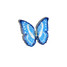 Solar Eclipse Morpho Butterfly Claw Hair Clip Blue closed position