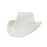 Metallic CC Cowboy Hat in Ivory Metallic CC Cowboy Hat in Ivory