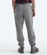 The North Face Men's Evolution Simple Dome Joggers in Mid Grey back view