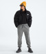 The North Face Men's Evolution Simple Dome Joggers in Mid Grey detail view