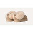 Ugg Kids' Tazzelle Slippers Mustard Seed front view