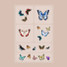 Barriere Brains and Beauty Vitamin Patches collection