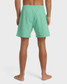 The Billabong Men's All Day Layback Trunks in Lime Green