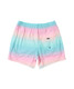 The SAXX Men's Oh Buoy 2N1 5" Volley Shorts in Hazy Stripe-Aqua