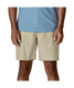 Patagonia Men's Lightweight All-Wear Shorts Pelican back