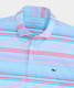 Vineyard Vines Performance Conch Stripe Sankaty Polo Toucan, Mint, Lilac front view