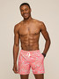 Chubbies Men's Classic Swim Trunks in The Pyramid Pool back view