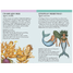 Quarto Match The Mermaids Memory Game mermaid and sea creature designs