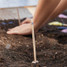 Modern Sprout Flower Seed Pop lifestyle outdoor planting
