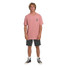 The Billabong Men's Forge Premium Tee in Ash Rose